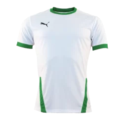 Puma - Jersey TeamGOAL White / Green SS