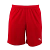 Puma - Pantaloncino TeamRISE Red -Sports-Football 70494201