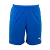 Puma - Short TeamRISE Royal -Sports-Football 70494202
