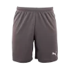 Puma - Short TeamRISE Grey -Sports-Football 70494213