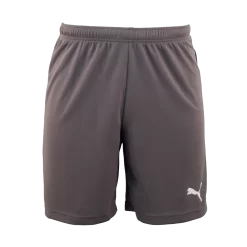 Puma - Short TeamRISE Grey