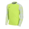 Nike - JUNIOR Maglia Dri-FIT Park IV Goalkeeper Lime -Sports-Football CJ6072702