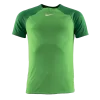 Nike - Jersey Dri-FIT Academy Pro Green SS