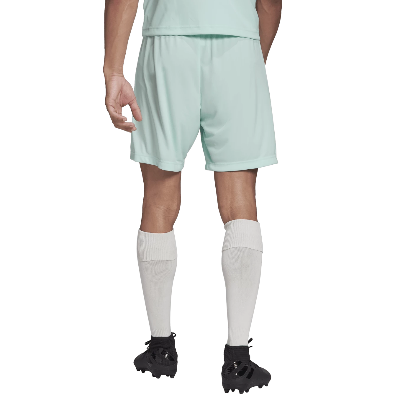 Adidas - Pantaloncino Entrada 22 Verde Menta 5 Adidas - Pantaloncino Entrada 22 Verde Menta - Image 3